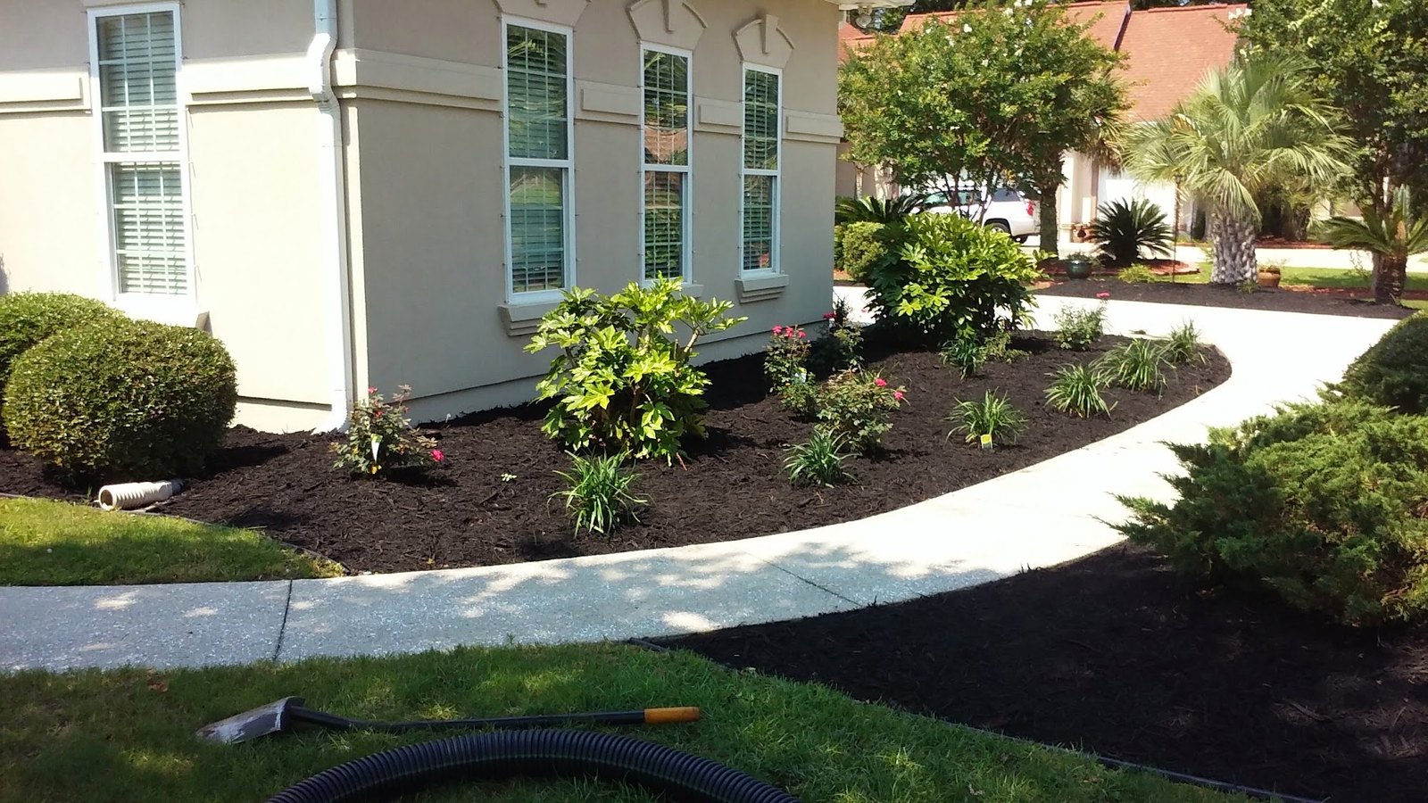 Freshly mulched planting beds with crisp edging along a walkway